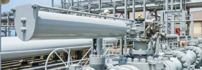 Flanges
